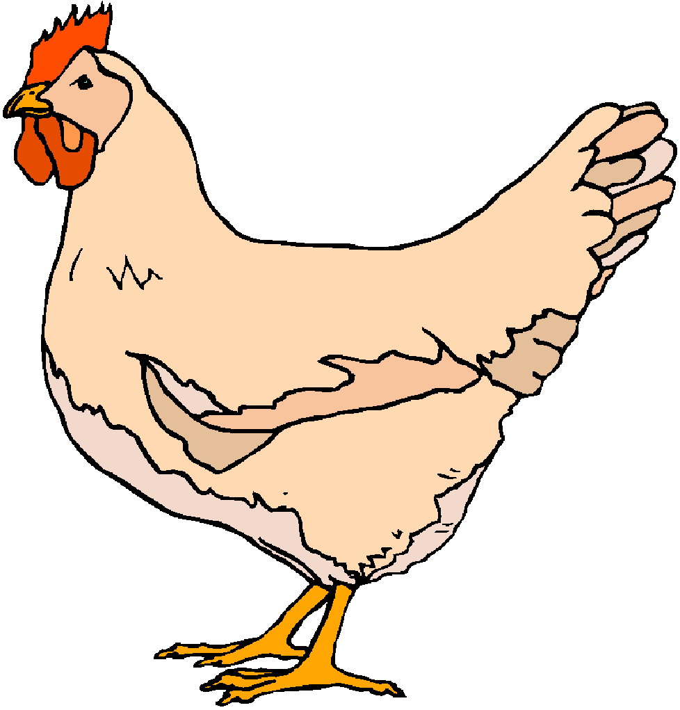 Chicken clipart #2, Download drawings
