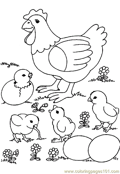 Chicken coloring #17, Download drawings