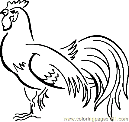 Chicken coloring #13, Download drawings