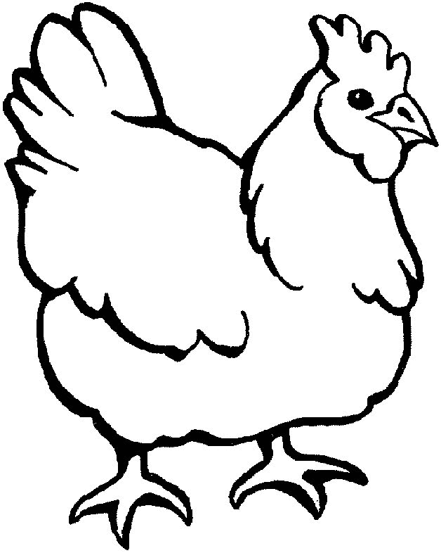 Chicken coloring #12, Download drawings