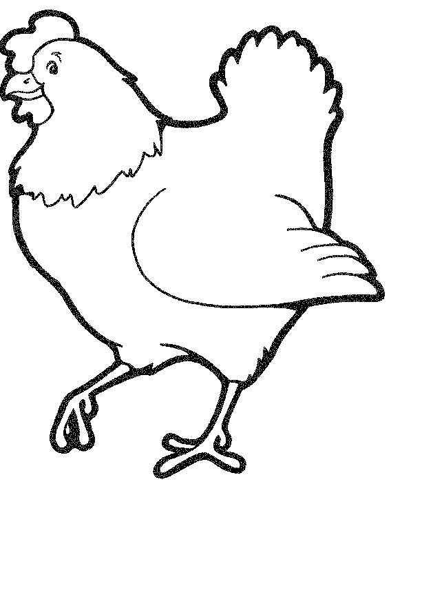 Chicken coloring #14, Download drawings