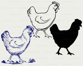 Chicken svg #17, Download drawings