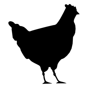 Chicken svg #4, Download drawings