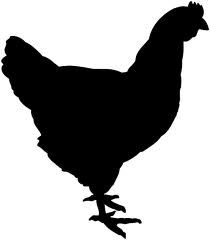 Chicken svg #16, Download drawings