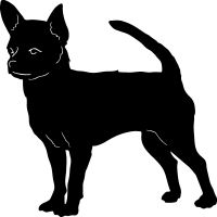 Chihuahua clipart #18, Download drawings