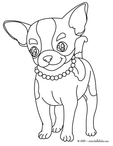 Chihuahua coloring #18, Download drawings