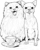 Chihuahua coloring #5, Download drawings