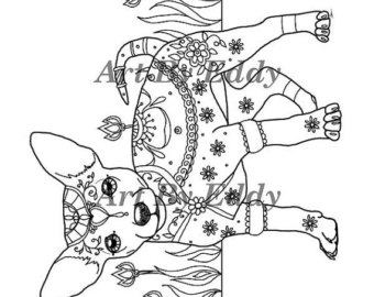 Chihuahua coloring #3, Download drawings
