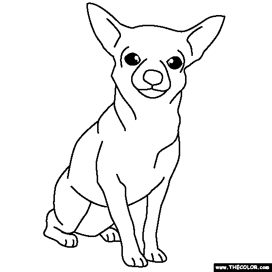 Chihuahua coloring #20, Download drawings