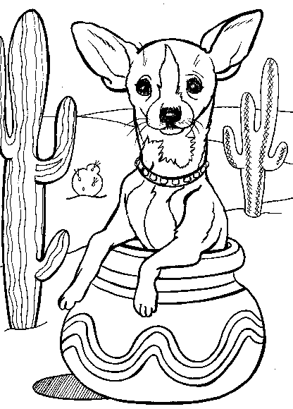 Chihuahua coloring #13, Download drawings