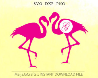Chilean Flamingo svg #7, Download drawings