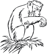 Chimpanzee coloring #13, Download drawings