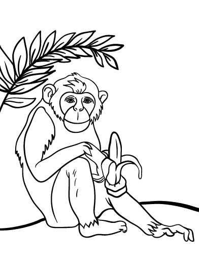 Chimpanzee coloring #11, Download drawings