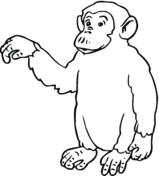 Chimpanzee coloring #17, Download drawings