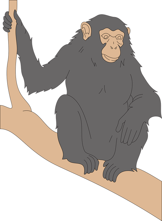 Chimpanzee svg #4, Download drawings