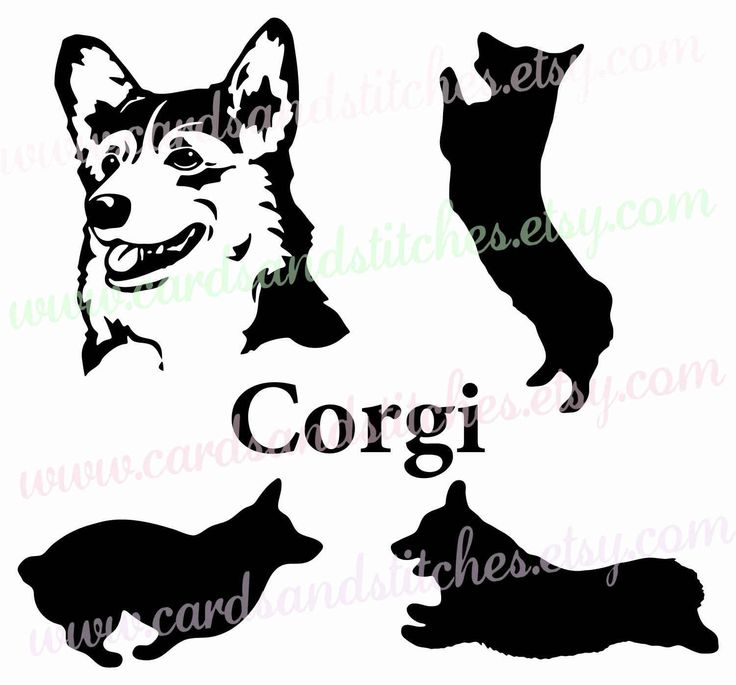 Chinese Crested Dog svg #12, Download drawings