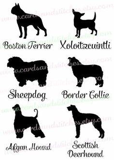 Chinese Crested Dog svg #3, Download drawings