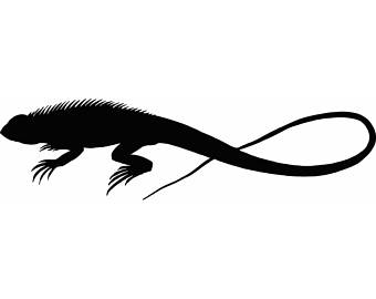 Chinese Crocodile Lizard svg #3, Download drawings