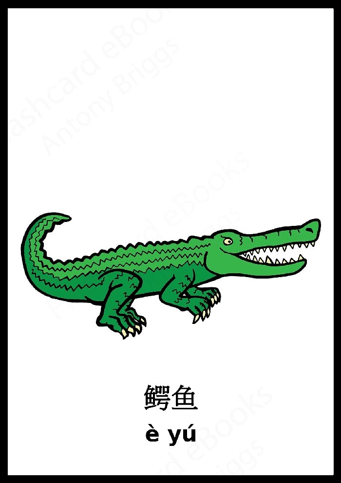 Chinese Crocodile Lizard svg #16, Download drawings
