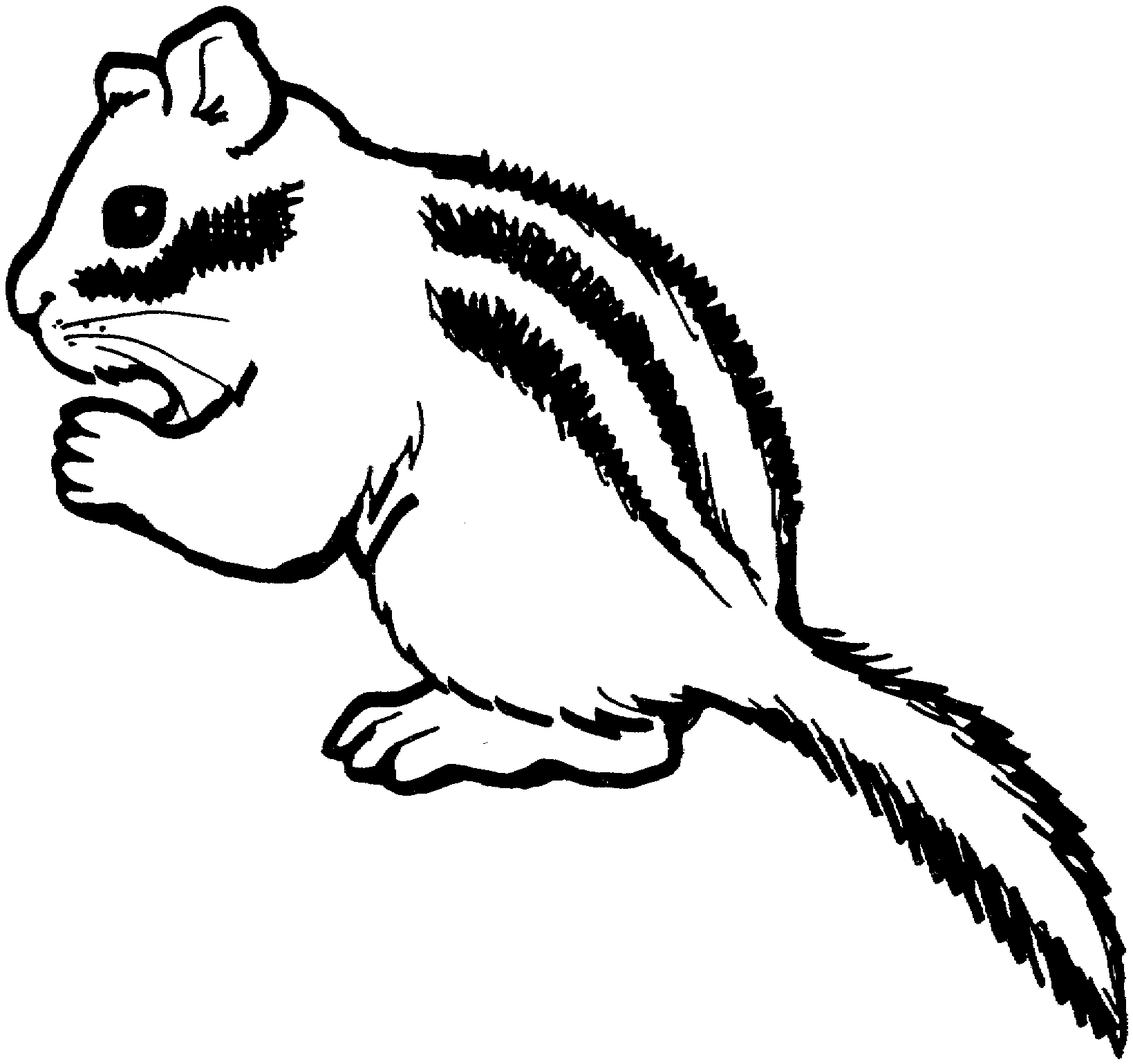 Chipmunk clipart #6, Download drawings