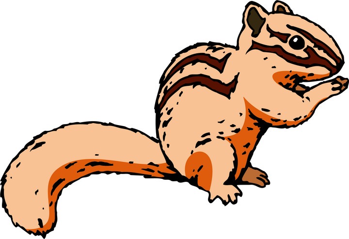 Chipmunk clipart #1, Download drawings