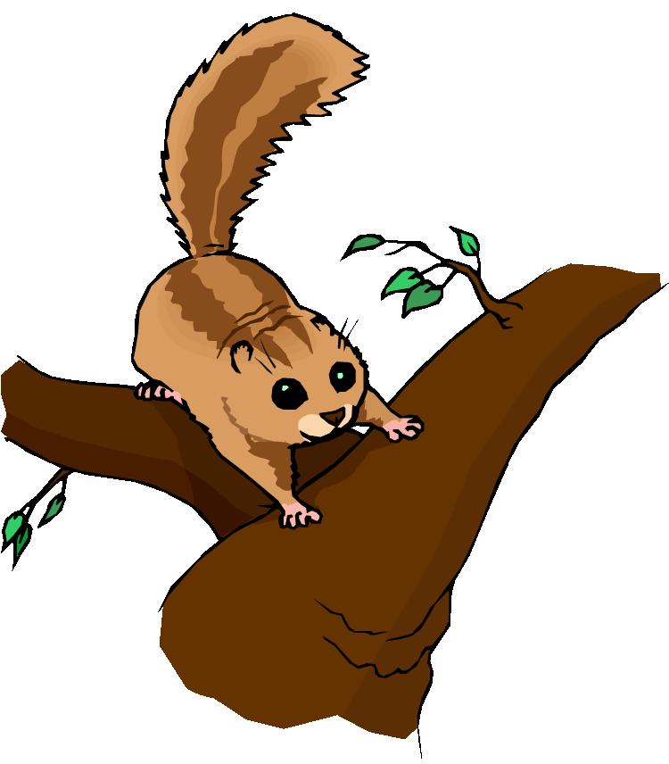 Chipmunk clipart #2, Download drawings