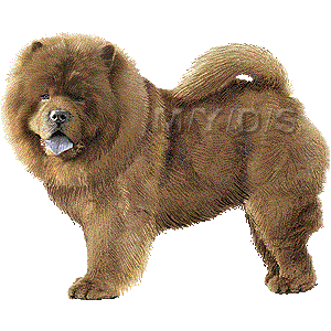 Chow Chow clipart #14, Download drawings