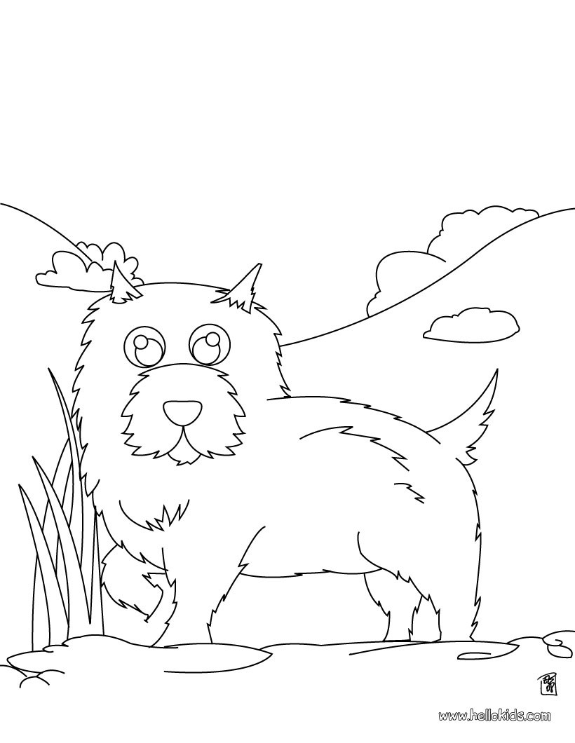 Chow Chow coloring #15, Download drawings
