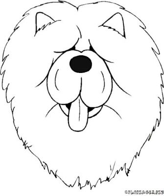 Chow Chow coloring #10, Download drawings