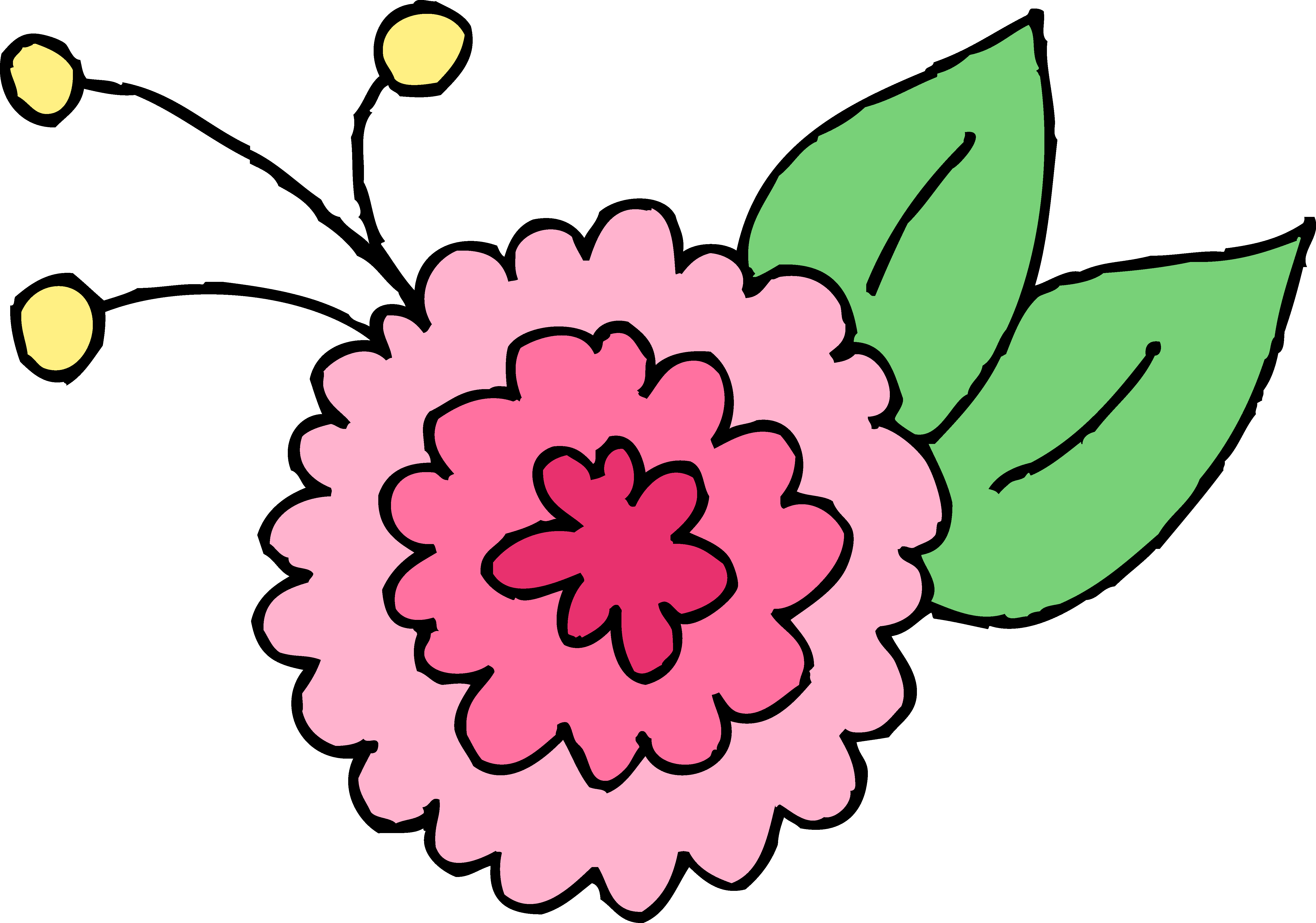 Chrysanthemum clipart #3, Download drawings