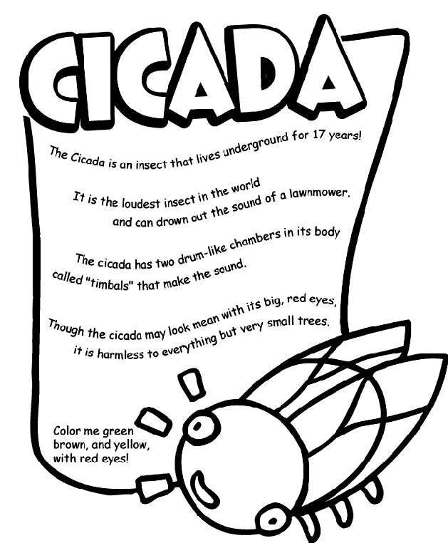 Cicada coloring #1, Download drawings