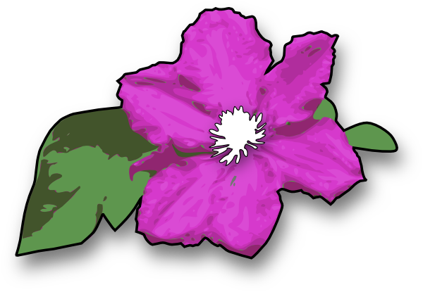 Clematis clipart #12, Download drawings