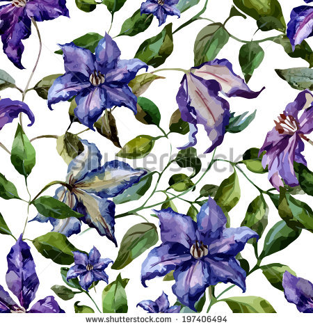 Clematis svg #5, Download drawings