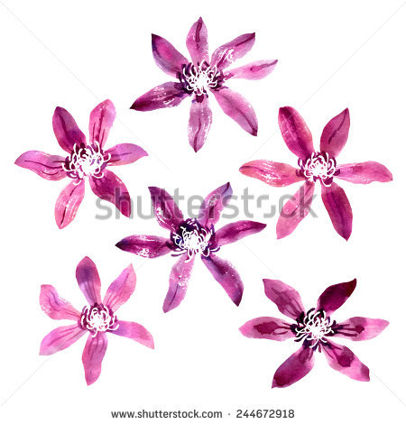 Clematis svg #11, Download drawings