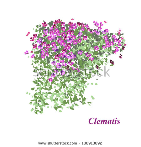 Clematis svg #4, Download drawings