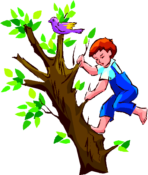 Climbing Tree clipart #1, Download drawings