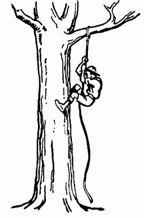 Climbing Tree clipart #4, Download drawings