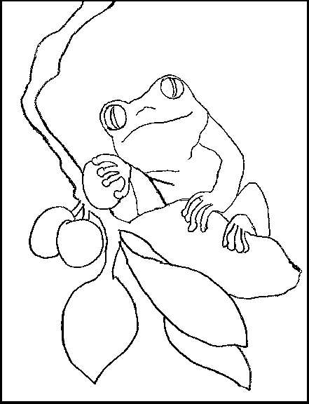 Clown Frog coloring #11, Download drawings