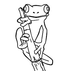 Clown Frog coloring #20, Download drawings