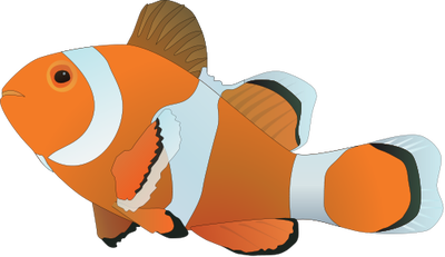 Clownfish svg #19, Download drawings