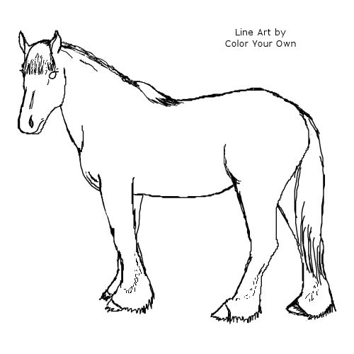 Clydesdale coloring #20, Download drawings