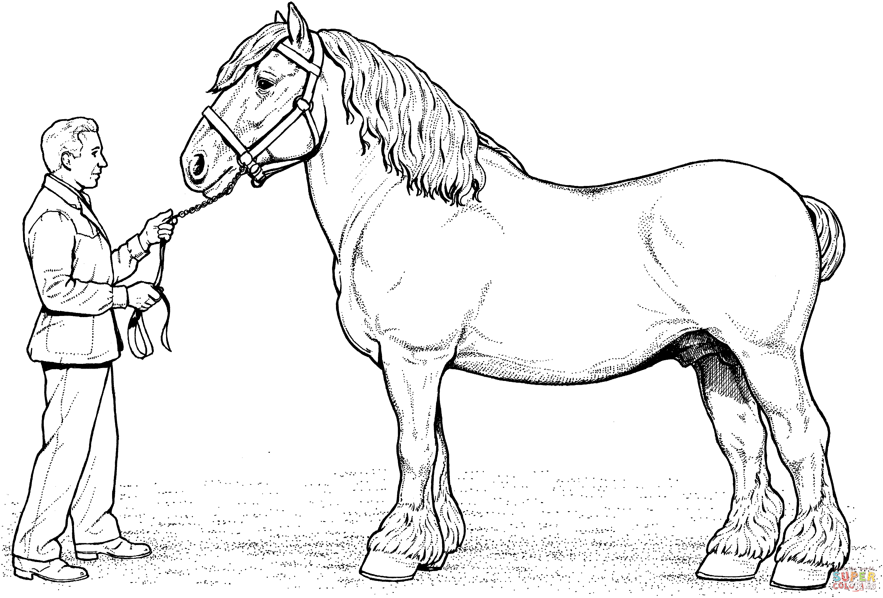 Clydesdale coloring #5, Download drawings
