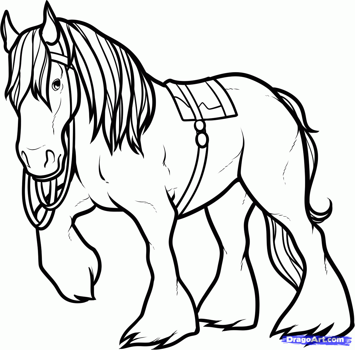 Clydesdale coloring #11, Download drawings