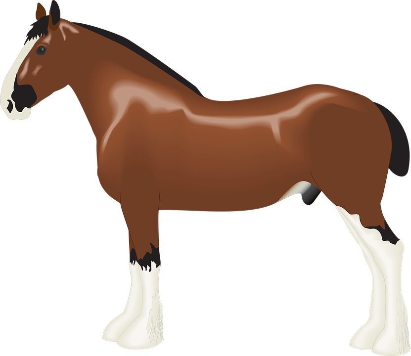 Clydesdale svg #8, Download drawings