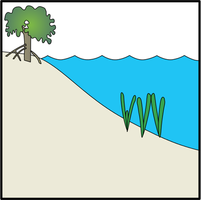 Sea Grass svg #19, Download drawings