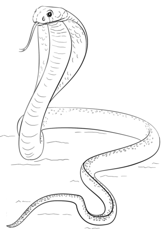 King Cobra coloring #8, Download drawings