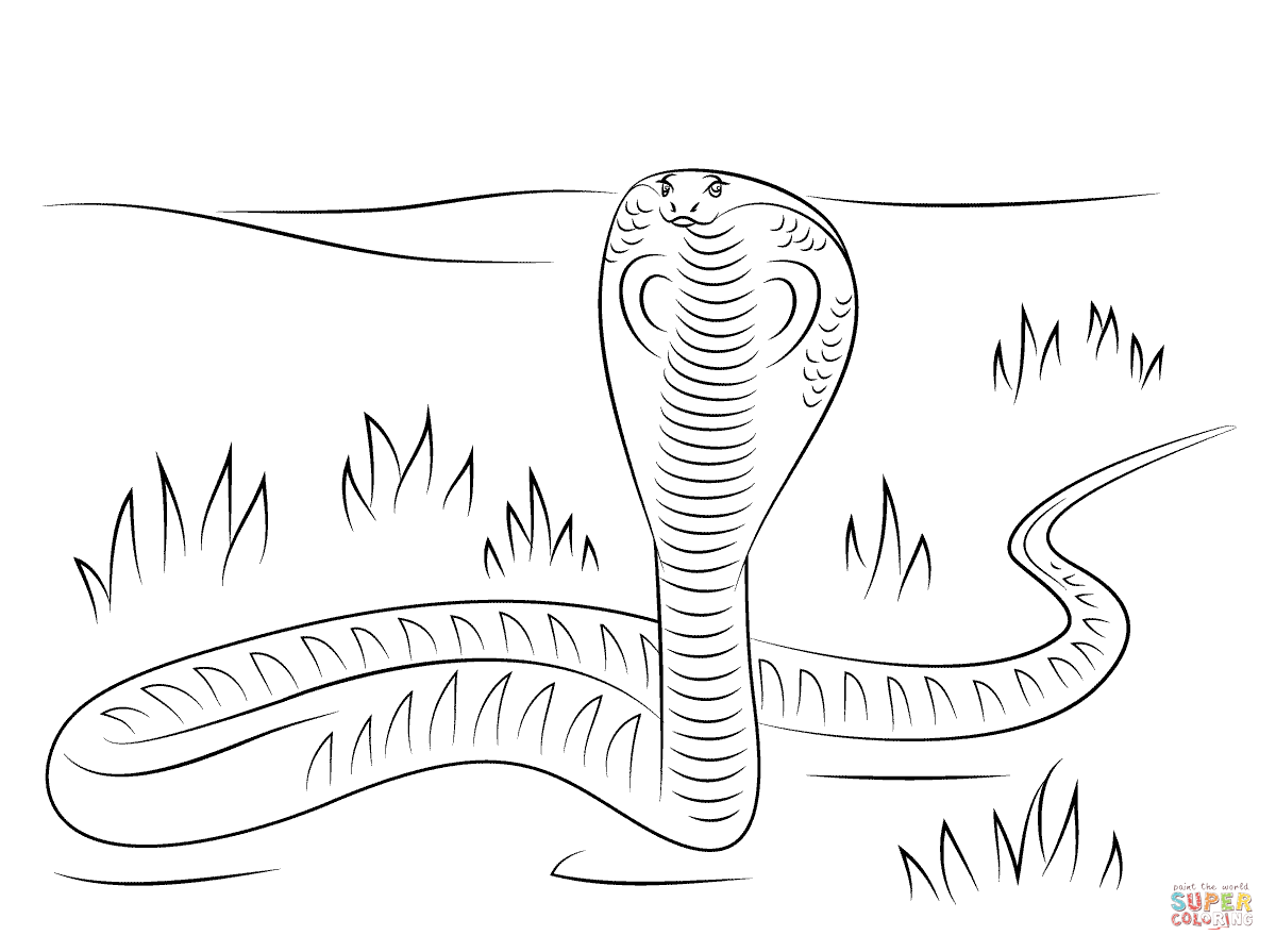 King Cobra coloring #14, Download drawings