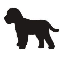 Cockapoo clipart #14, Download drawings