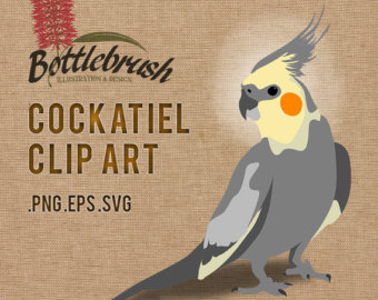Cockatiel svg #4, Download drawings