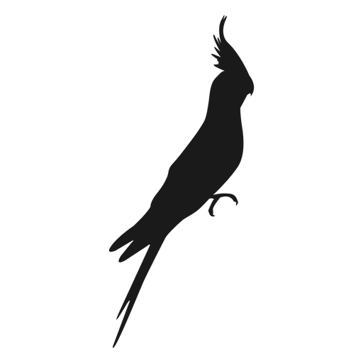 White Cockatoo svg #13, Download drawings
